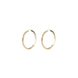 Ladies' Earrings Guess JUBE04193JWYGT-U