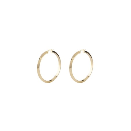 Boucles d´oreilles Femme Guess JUBE04193JWYGT-U