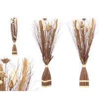 Dekorative Blume Gift Decor Braun 14 x 100 x 10 cm 8 x 100 x 18 cm (4 Stück)