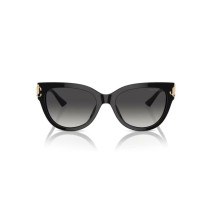 Ladies' Sunglasses Jimmy Choo JC 5018U