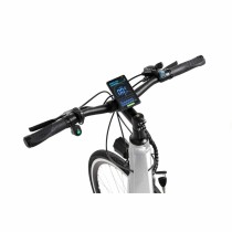 Vélo Électrique Youin BK1500 NEW YORK 29" 250W Gris 250 W 7800 mAh 29"