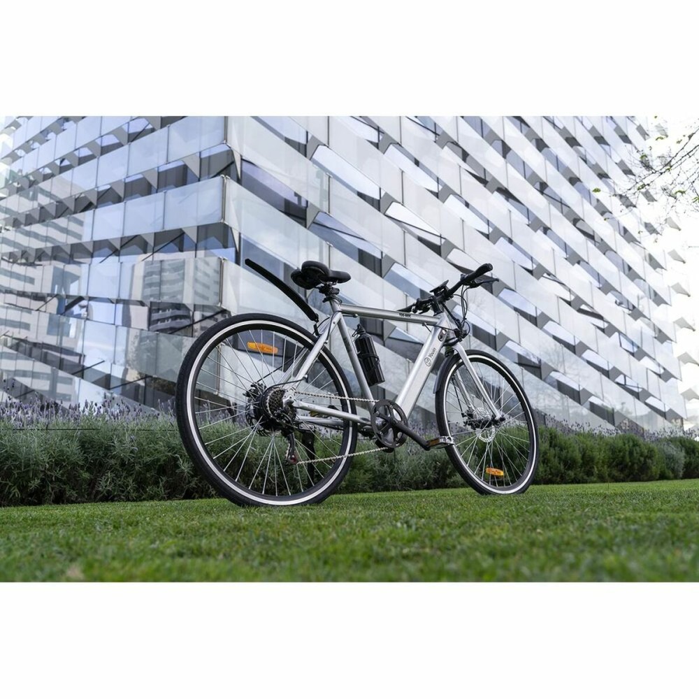 Elektrisches Fahrrad Youin BK1500 NEW YORK 29" 250W Grau 250 W 7800 mAh 29"