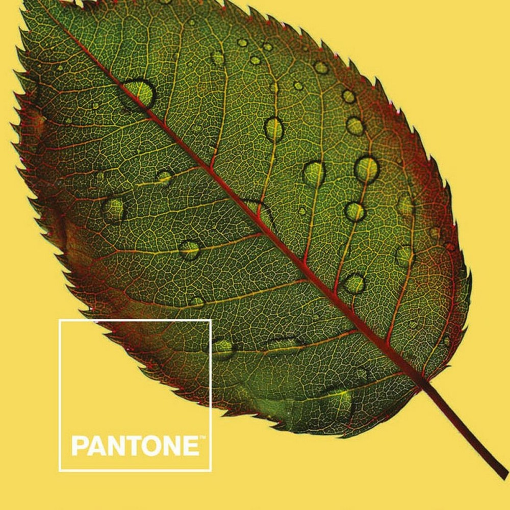 Bettdeckenbezug Nature Pantone