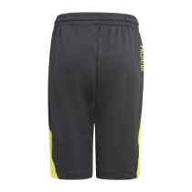 Pantalon de Sport pour Enfant Adidas Predator Inspired Noir Football