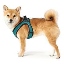 Hundegeschirr Hunter Hilo-Comfort Turquoise XS (35-37 cm)