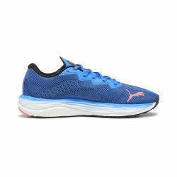 Running Shoes for Adults Puma Velocity Nitro 2 Blue Men