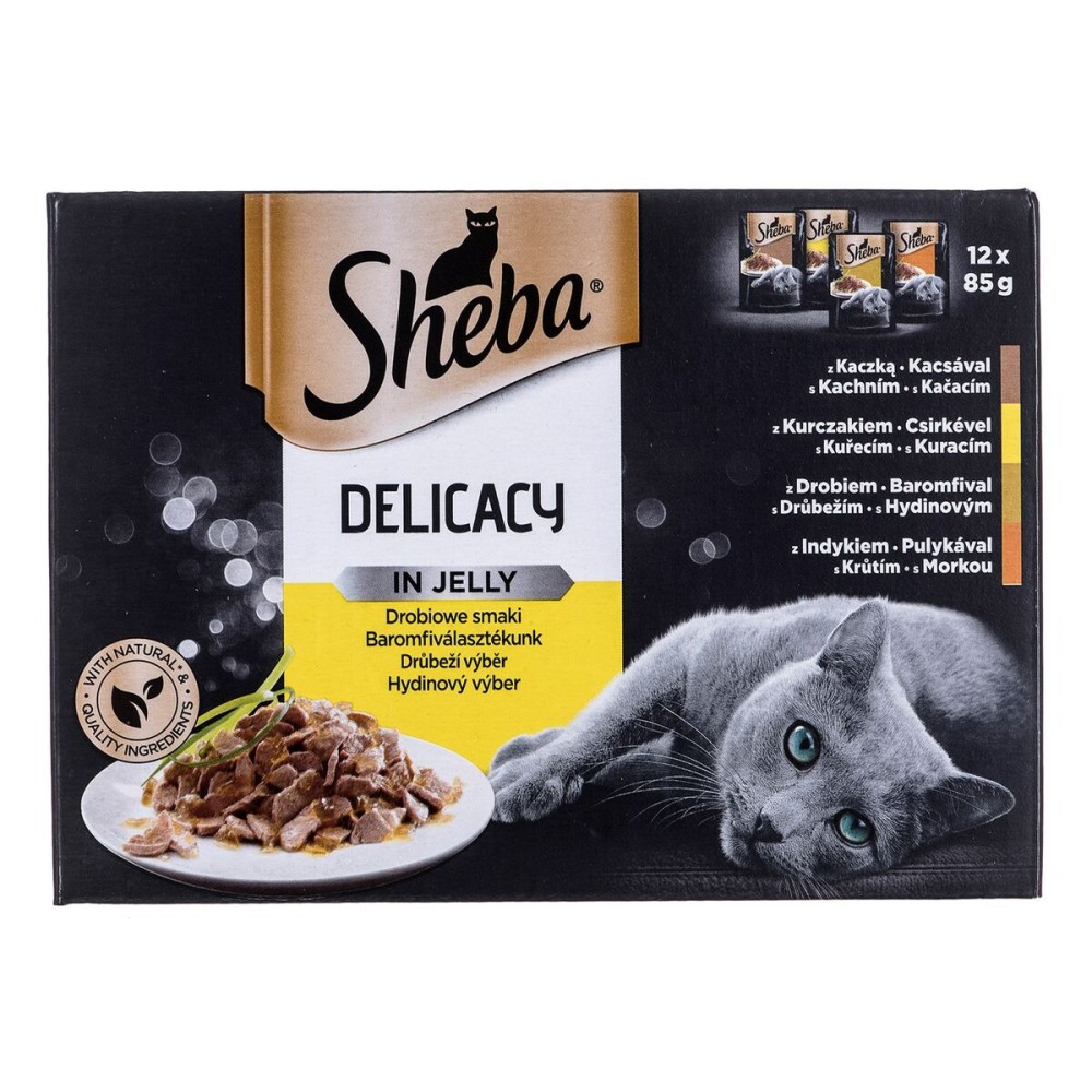 Aliments pour chat Sheba Delicacy in Jelly Poulet Dinde Canard Oiseaux 100 g