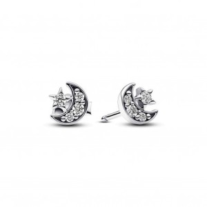 Ladies' Earrings Pandora 292990C01