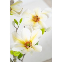 Decorative Flowers Romimex White Magnolia 70 x 150 x 60 cm