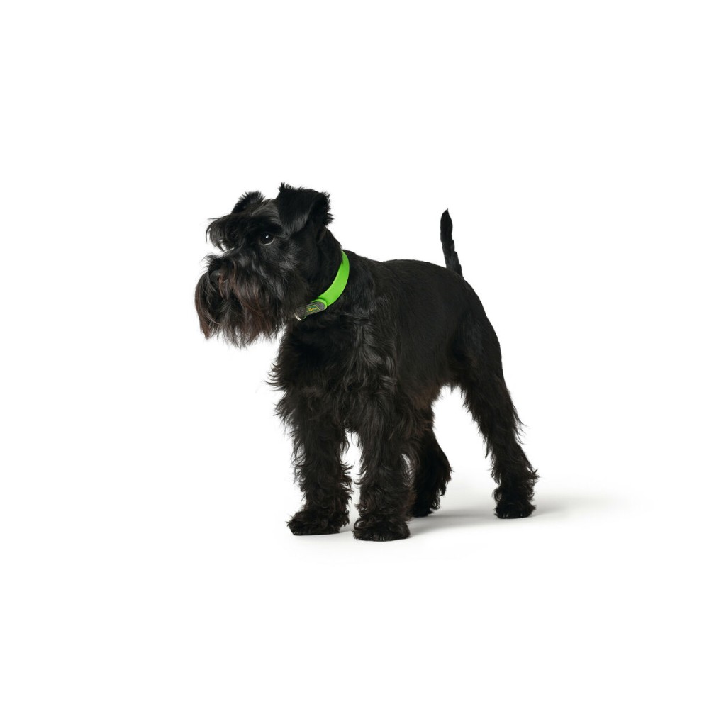 Hundehalsband Hunter Convenience 53-61 cm L/XL grün