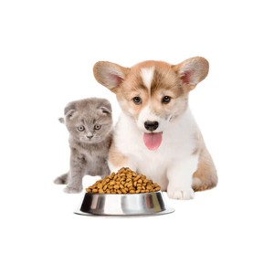 Pet food