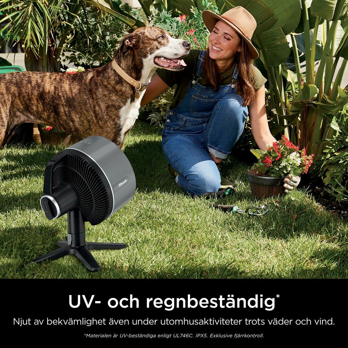 V5H3FB31EBDF9019C307ED121B345FA8CA6R6207009P9