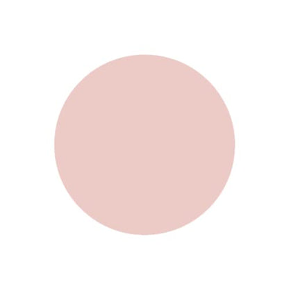 SABRENT 1TB Rocket Nano External Aluminum SSD Up to 1000MB/s (Pink) (SB-1TB-NANO-PNK)