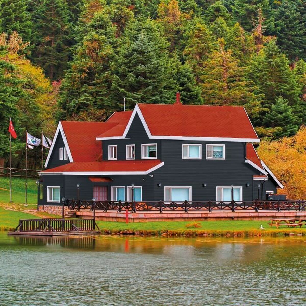 V6HC5202997BEFD10D542264230D4580C4DR7370498P3