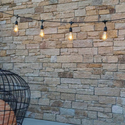 V5HA6123AB2CFFACF532586A9867F697628R7273445P4