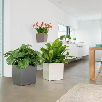 V6H9509AB94FBB791FBC75F4EDB49962CC7R7370382P5