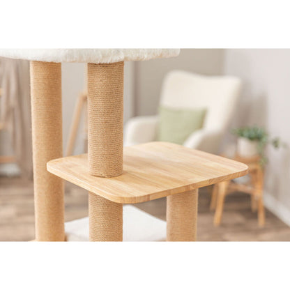 V2H9D4571E7E5F52A77413B6CE79C219B67R7639924P10