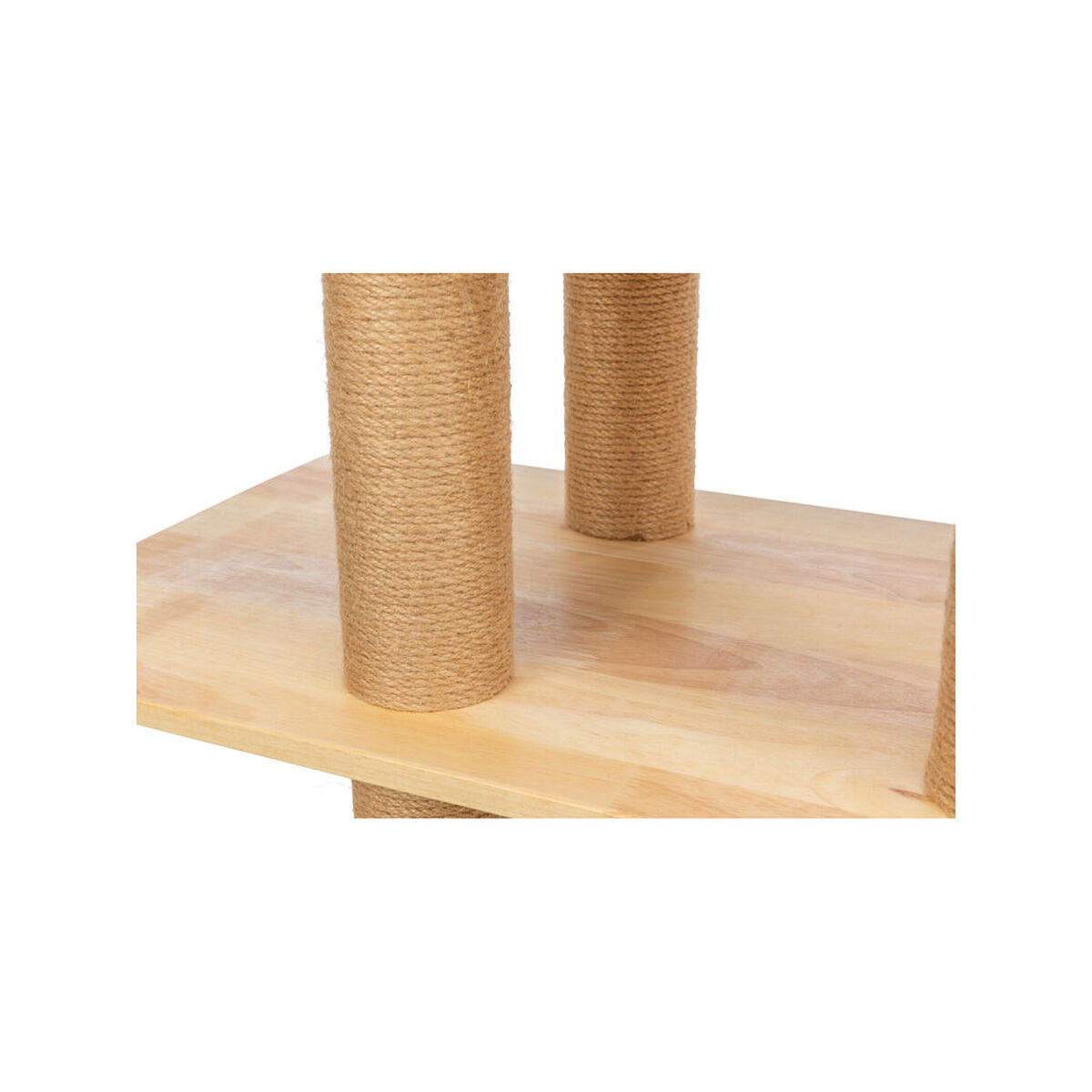 V2H7A3883CD9429C4E0E5D7922E31764EDBR7639907P5