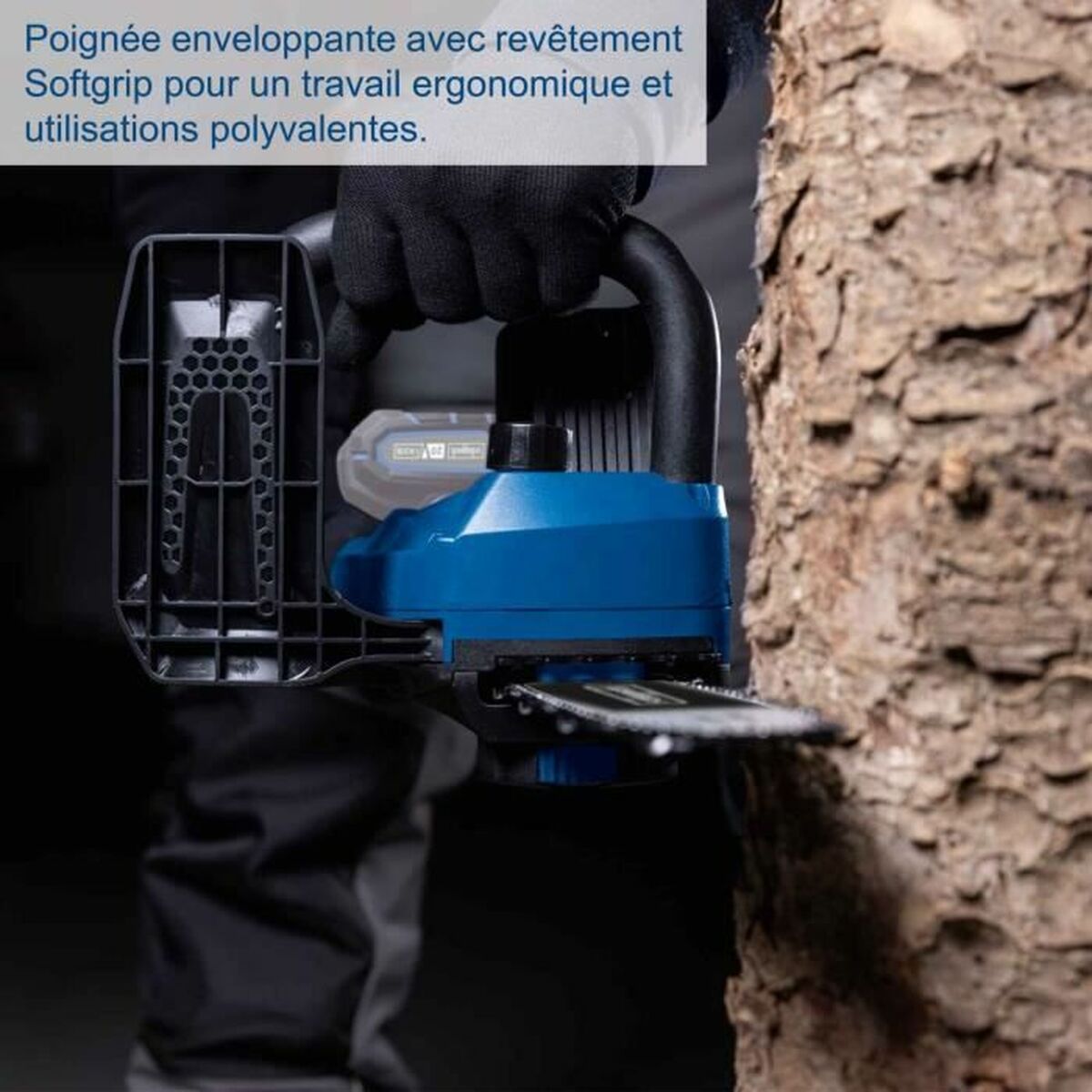 V6HDAEFB8F669594D2FCC9A3E3CD36D8E5AR4895890P5