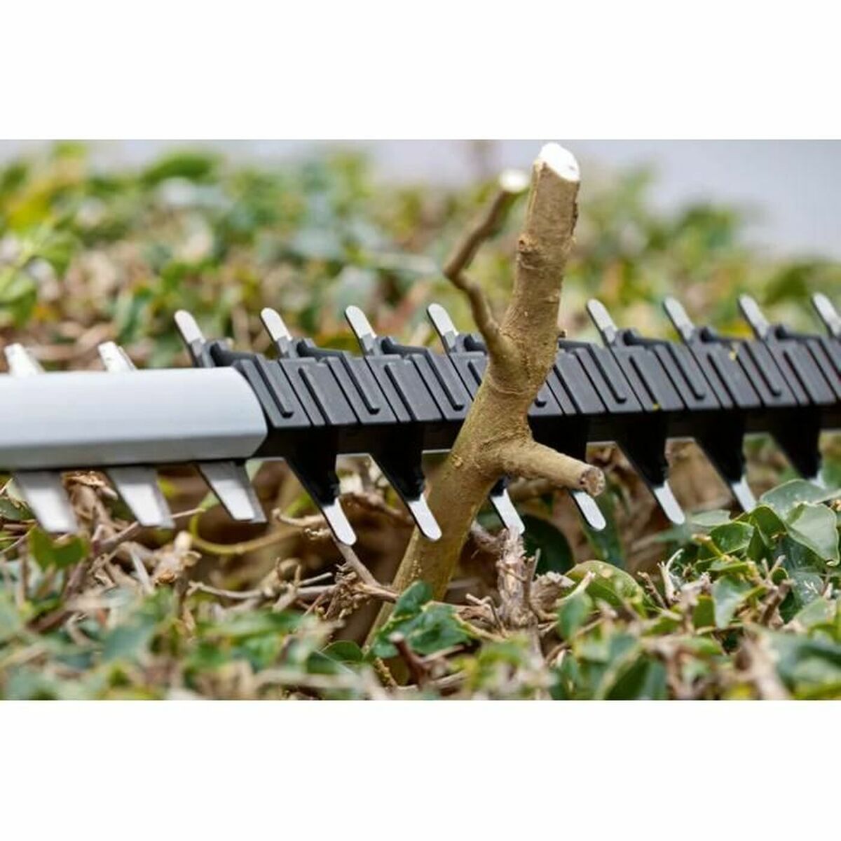 V3H700B8A4FC1E245FAECCBD795BAEC90E2R5998966P7