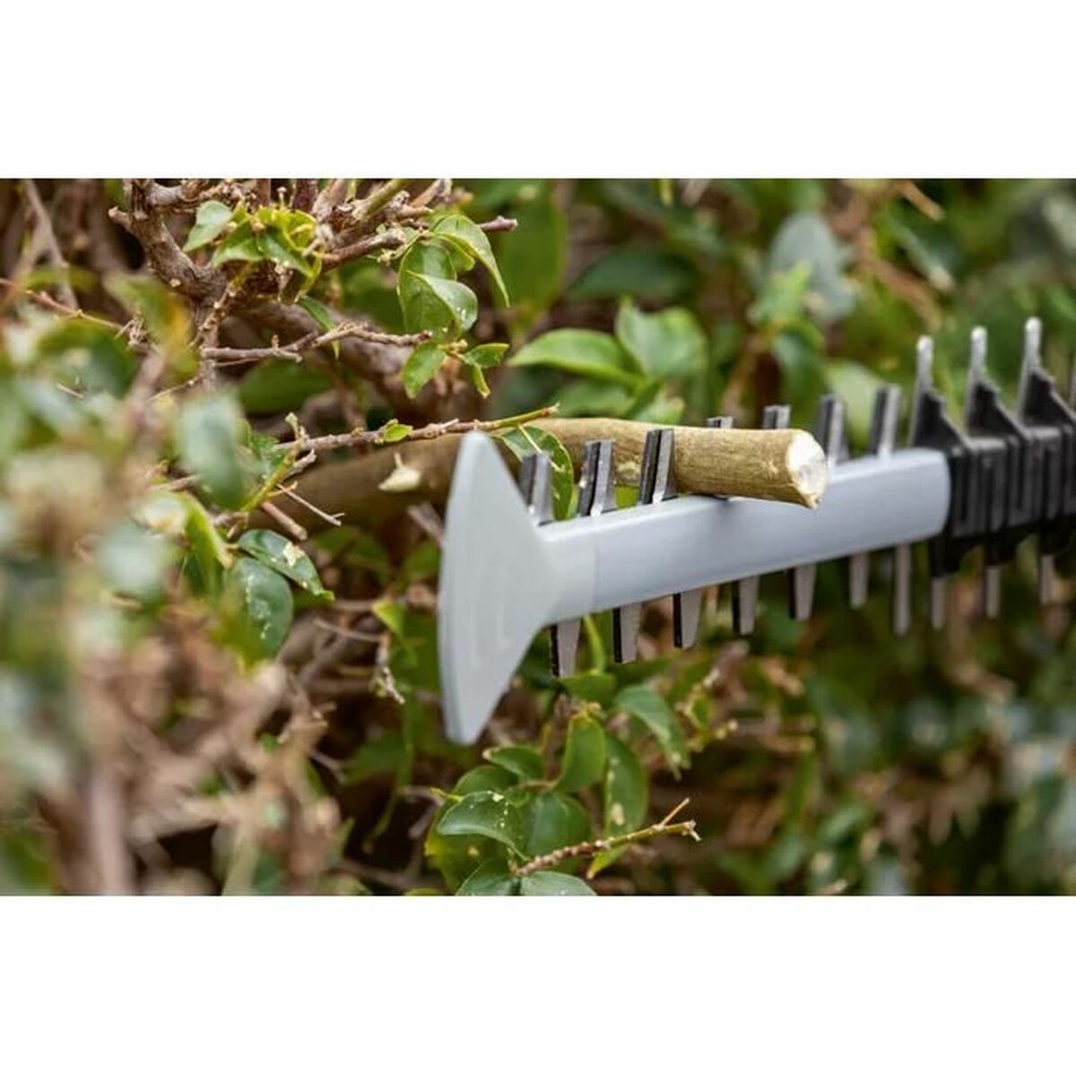 V3H668747E4B1CD28E6B73E81ADE47ED616R5998967P8