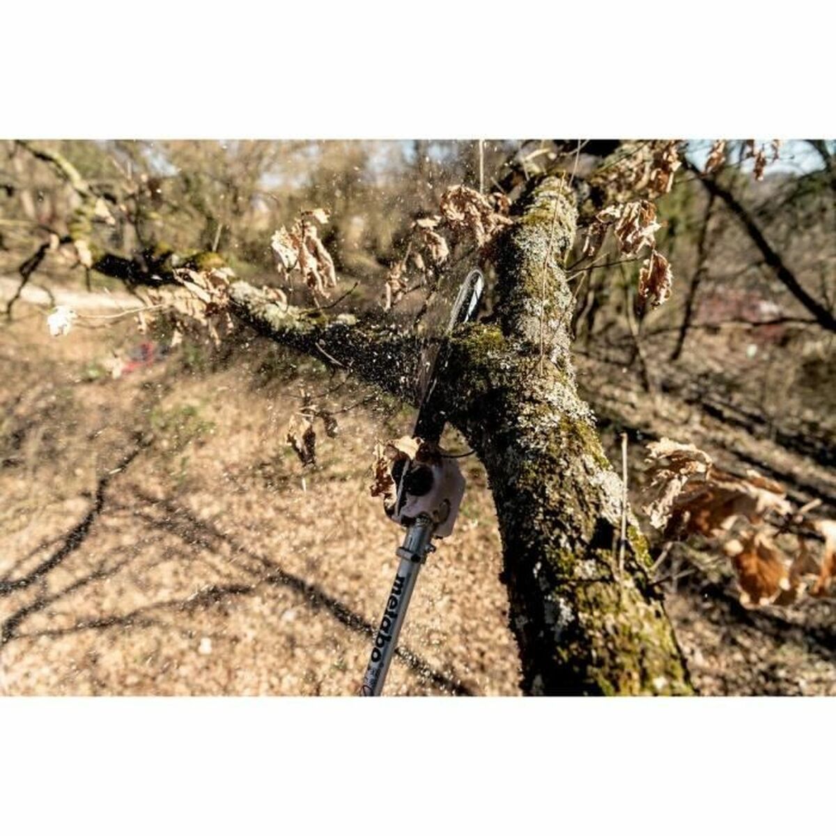 V5H9BD738405C9CDE72FED4831CC00A95CCR7319966P6