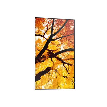 V2HFD3B2153E3B8B0D0FD5D254706506529R7466256P5