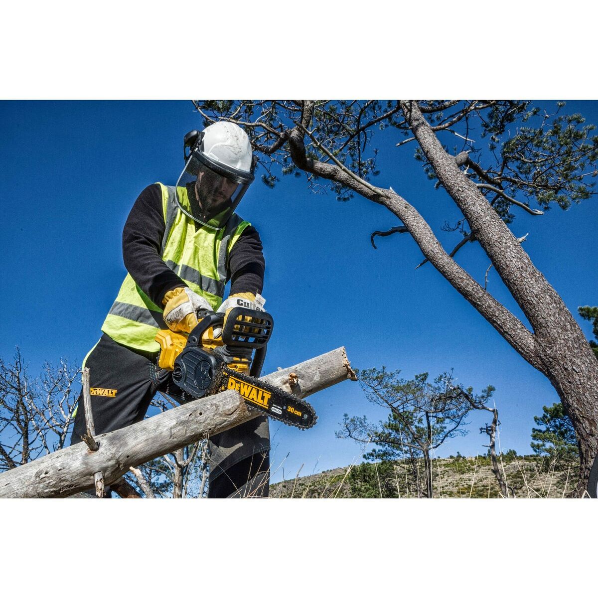 V9H95A31D7C13D7F303C086AA48F54C5F36R3459897P2