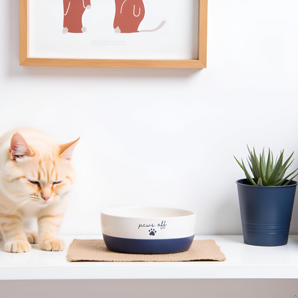 Pearhead Ceramic Bowl, Holds 2 Cups, Cute Whisker-Friendly Dish with Cat Face Design, Non-Slip, Microwave and Dishwasher Safe, Small/Medium