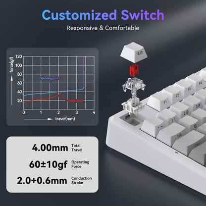 TECURS 75% Mechanical Keyboard for Gaming & Office, Creamy Sound, Gasket Mount, Hot-Swap RGB Backlit 81 Keys Keyboard for Laptop/PC/Mac, 2.4G/Bluetooth/Wired Mode, Gradient Grey