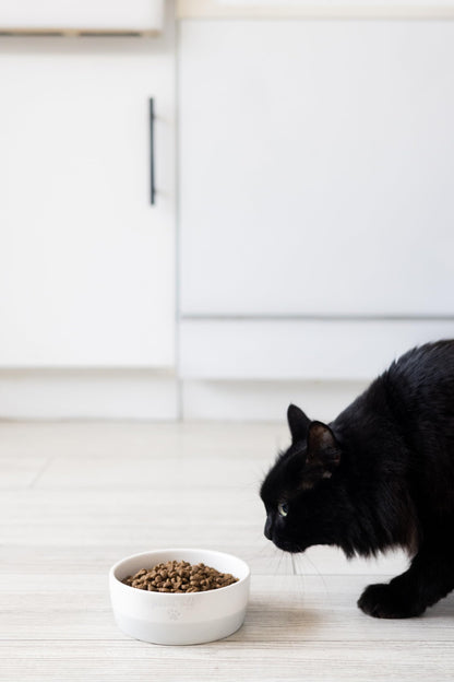 Pearhead Ceramic Bowl, Holds 2 Cups, Cute Whisker-Friendly Dish with Cat Face Design, Non-Slip, Microwave and Dishwasher Safe, Small/Medium