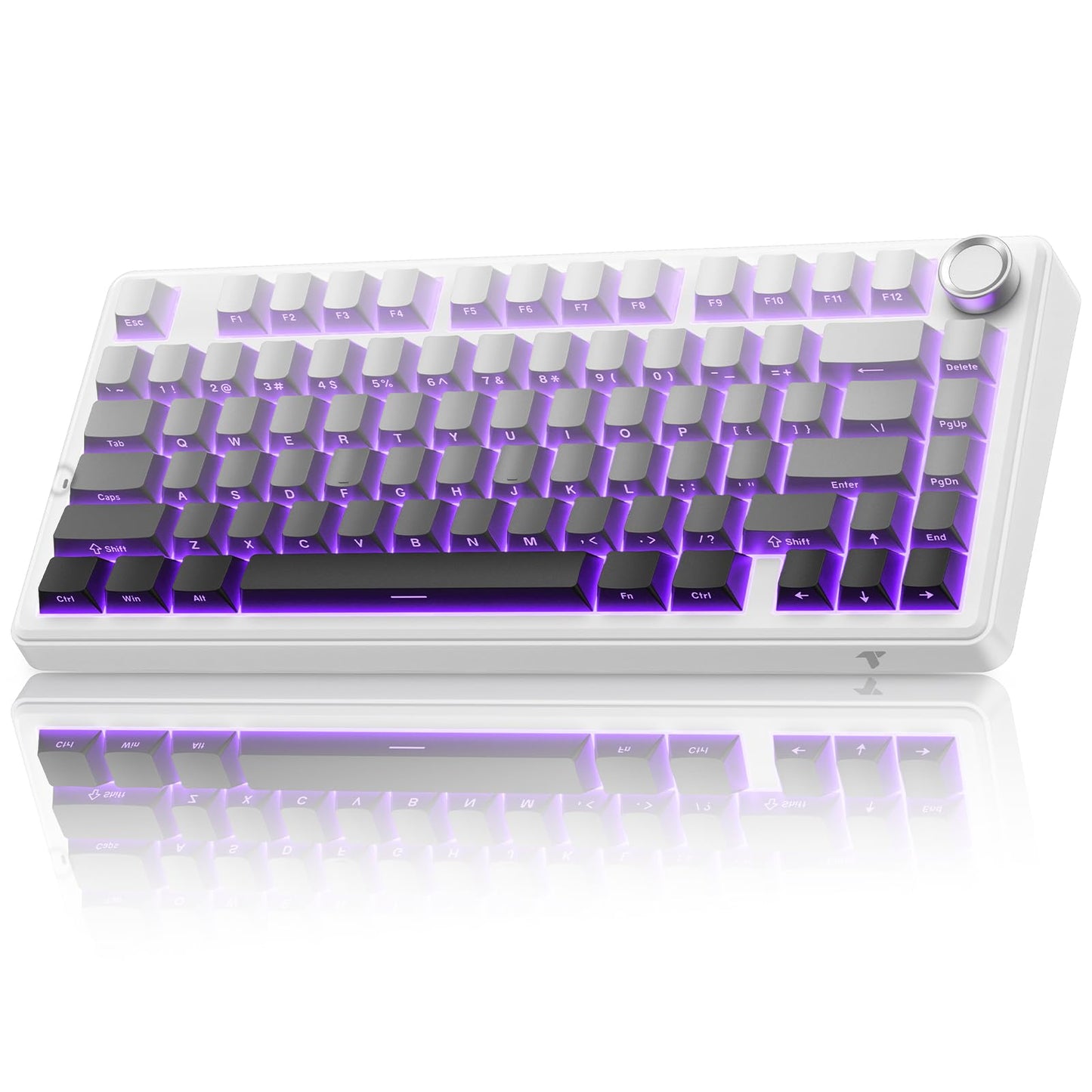 TECURS 75% Mechanical Keyboard for Gaming & Office, Creamy Sound, Gasket Mount, Hot-Swap RGB Backlit 81 Keys Keyboard for Laptop/PC/Mac, 2.4G/Bluetooth/Wired Mode, Gradient Grey