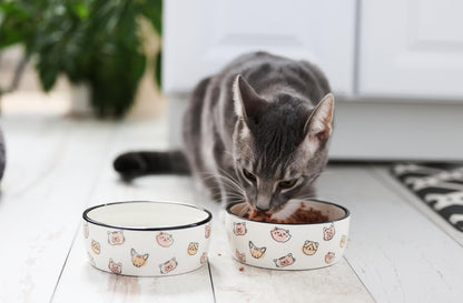 Pearhead Ceramic Bowl, Holds 2 Cups, Cute Whisker-Friendly Dish with Cat Face Design, Non-Slip, Microwave and Dishwasher Safe, Small/Medium
