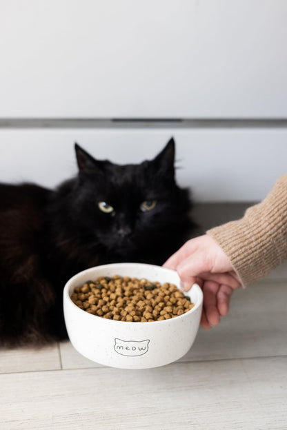 Pearhead Ceramic Bowl, Holds 2 Cups, Cute Whisker-Friendly Dish with Cat Face Design, Non-Slip, Microwave and Dishwasher Safe, Small/Medium