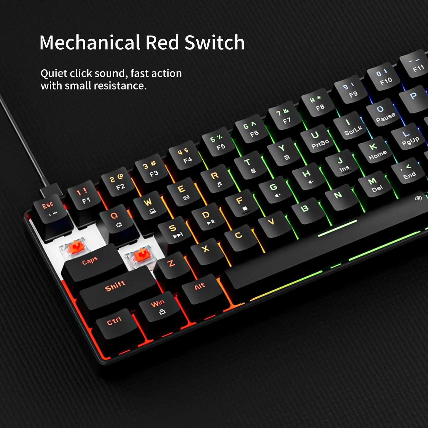 Newmen GM611 Mechanical Keyboard,Rainbow LED Backlit Gaming Wired Keyboards Compact Mini 61 Keys Portable 60 Percent Mechanical Keyboard with Black Keycaps,for Windows Laptop PC Linear Red Switches