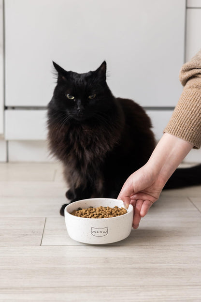 Pearhead Ceramic Bowl, Holds 2 Cups, Cute Whisker-Friendly Dish with Cat Face Design, Non-Slip, Microwave and Dishwasher Safe, Small/Medium
