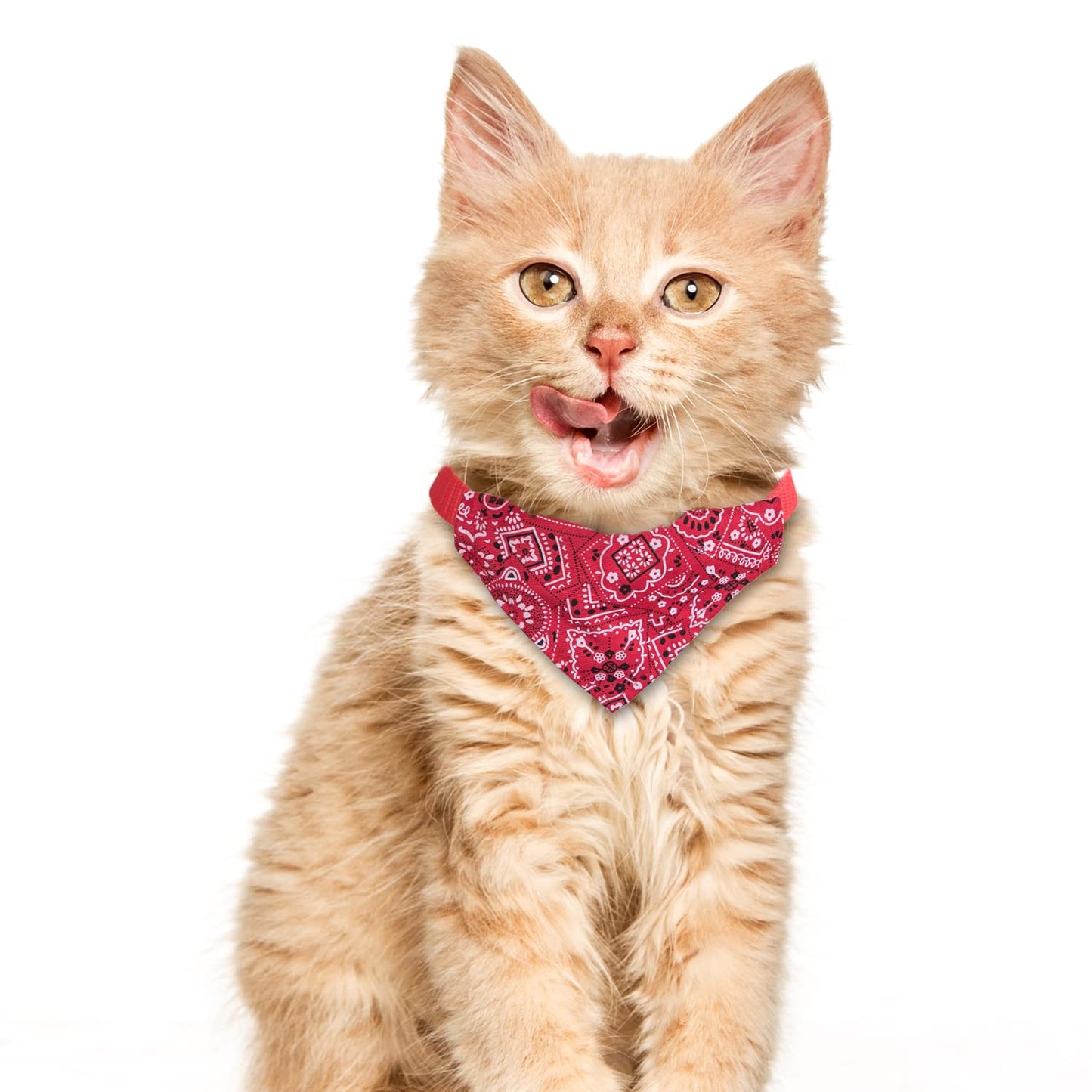 XIMA 6PCS Cat Bandana Collars with Removable Bow Tie for Cats Puppy Kittens Small Dogs Collars Adjustable Bandana