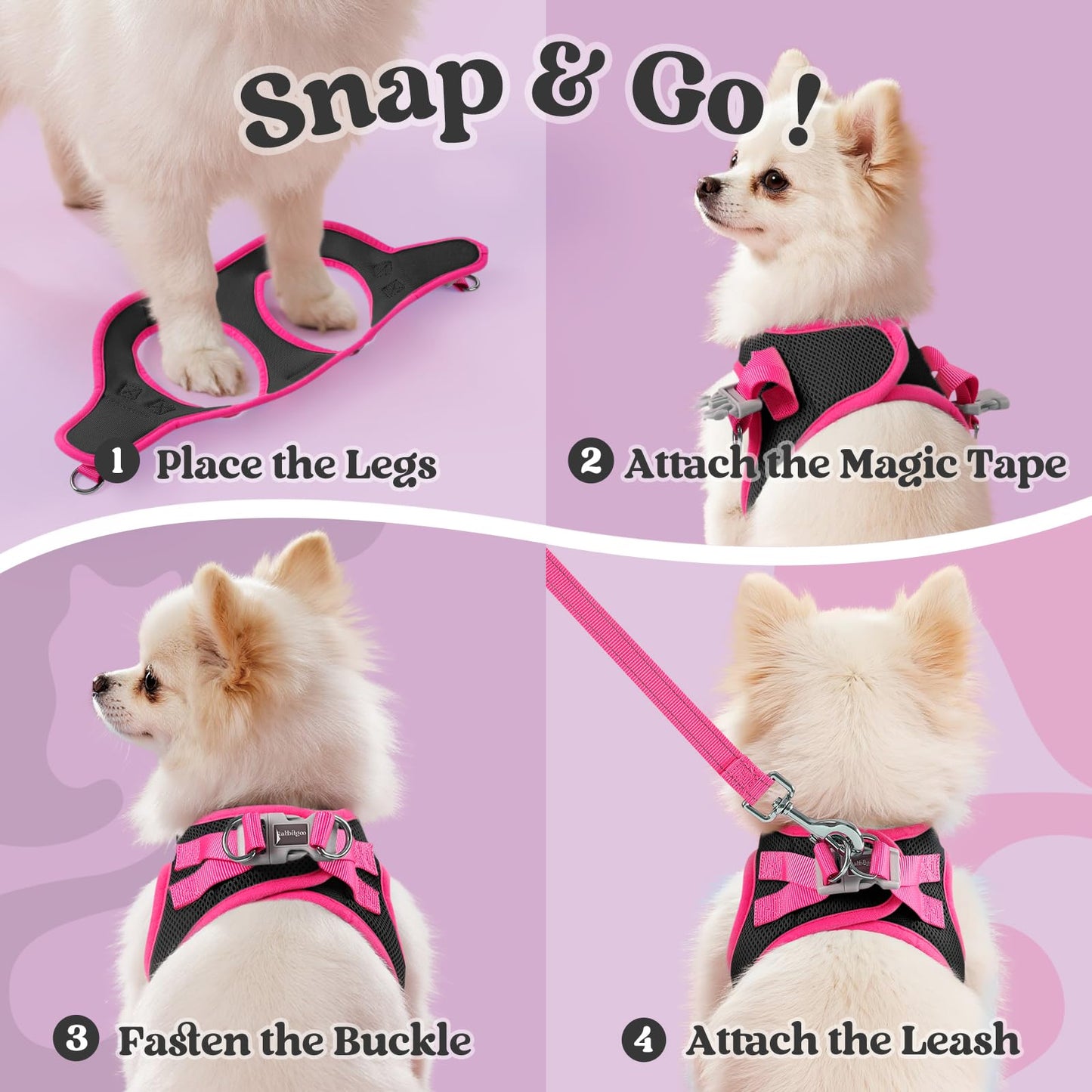 rabbitgoo Dog Harness Small Sized and Leash Set, Step-in Breathable Pet Harness, Soft Walking Reflective Puppy Vest for Small Dogs, Black & Rose Red, S