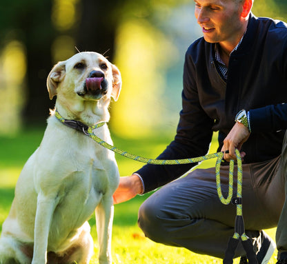 Hundeleine, 1,8 m lange, robuste Hundeleine, strapazierfähige Premium-Qualität, starke Seil-Schlupfleine mit komfortablem, gepolstertem Griff und hochreflektierenden Fäden für kleine, mittlere und große Hunde, (Schwarz) 