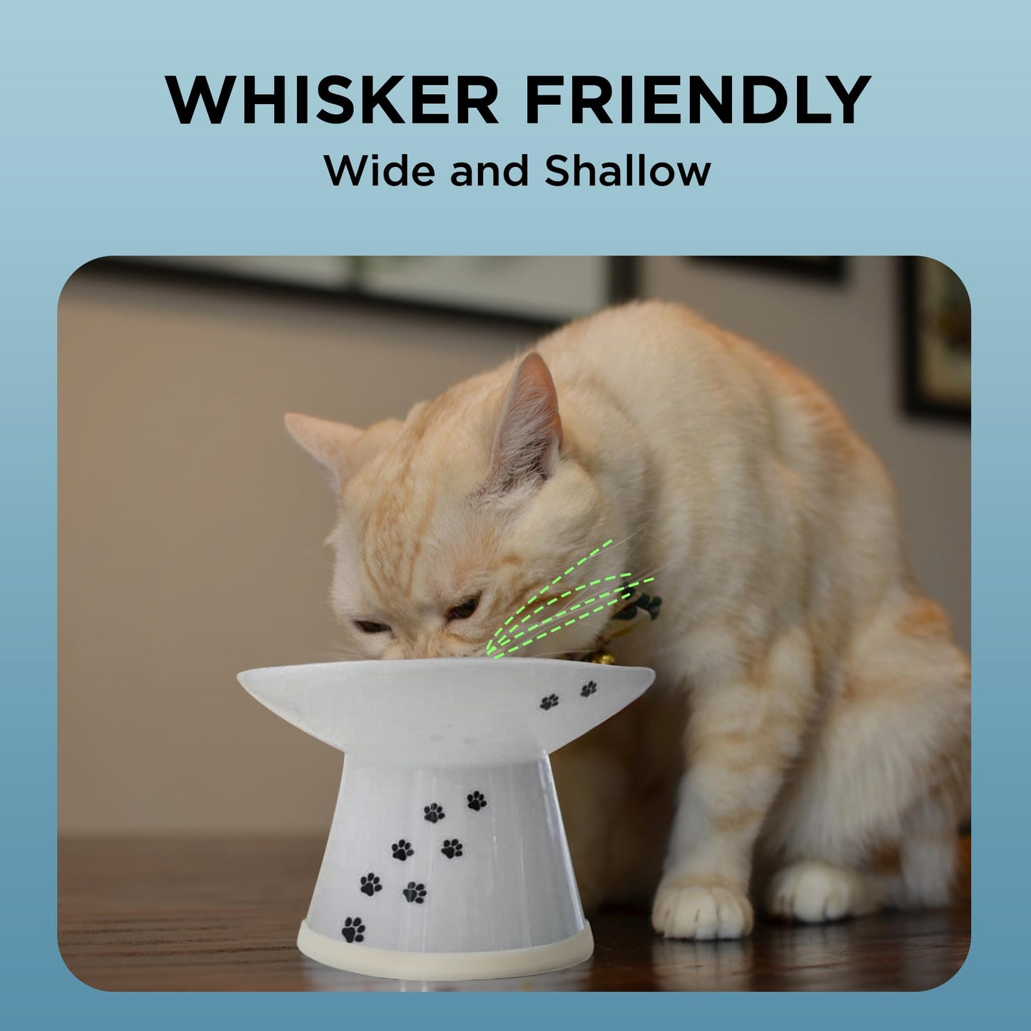 Necoichi Raised Cat Food Bowl - Ceramic Elevated Cat Bowl for Whisker & Neck Fatigue, Dishwasher Microwave Safe - Non-Slip & Anti Vomiting Ergonomic Design (Cats, Extra Wide, 2-Cups Capacity)