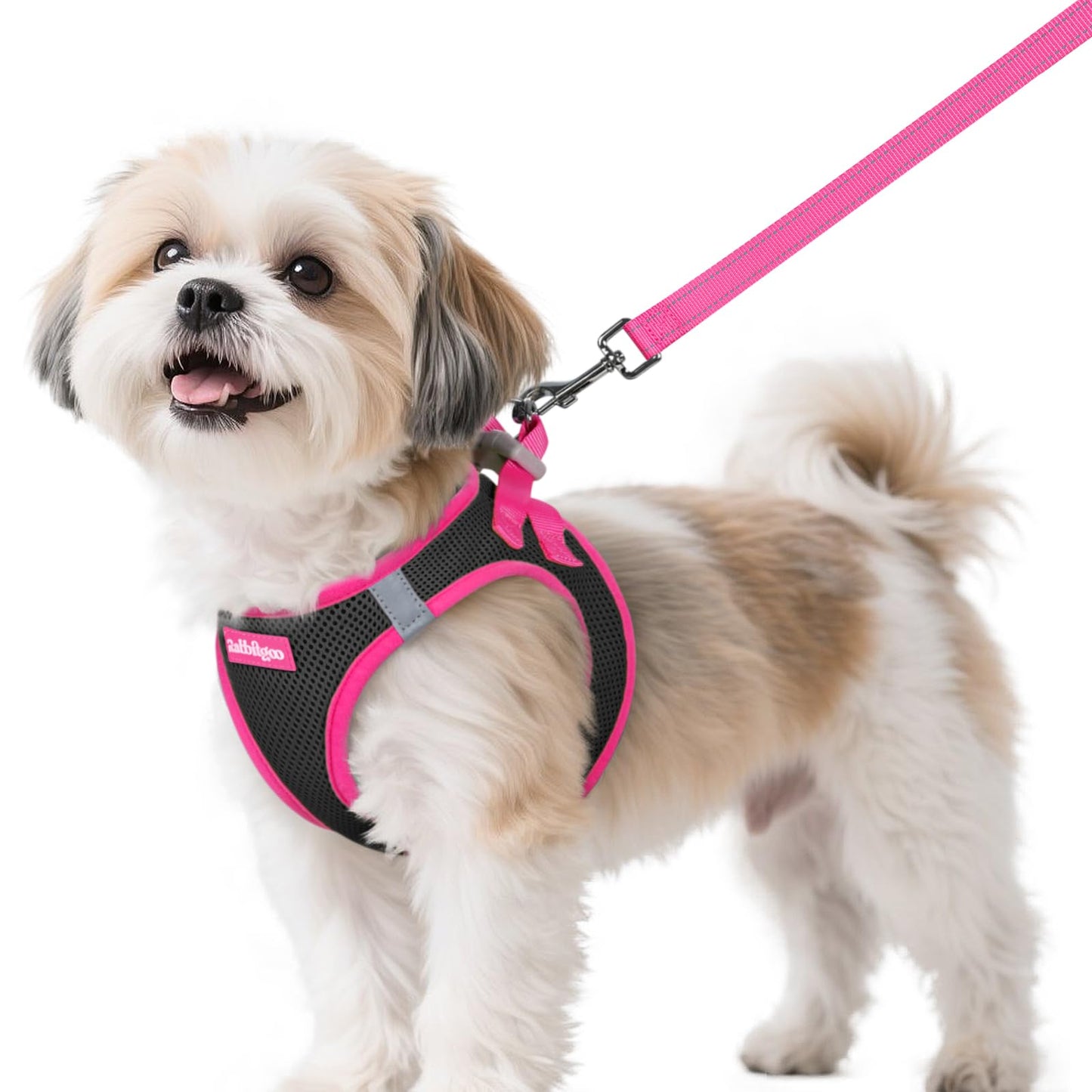 rabbitgoo Dog Harness Small Sized and Leash Set, Step-in Breathable Pet Harness, Soft Walking Reflective Puppy Vest for Small Dogs, Black & Rose Red, S