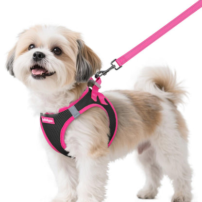 rabbitgoo Dog Harness Small Sized and Leash Set, Step-in Breathable Pet Harness, Soft Walking Reflective Puppy Vest for Small Dogs, Black & Rose Red, S