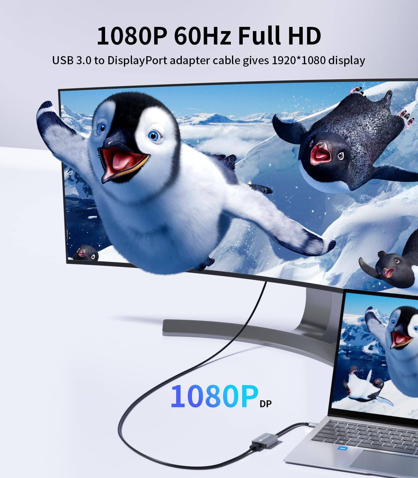 Reborn USB 3.0 to DisplayPort Adapter, 1080P@60Hz USB 3.0 Male to DisplayPort Female Multi-Display Cable Converter Suitable for MAC OS, Windows 7/8/10/11