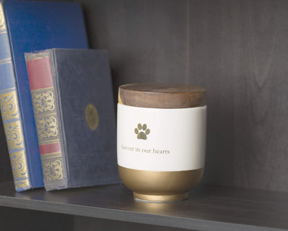 Pearhead Pet Ceramic Forever in Our Hearts Urn, Pet Memorial, Dog Or Cat Keepsake Urn, Rainbow Bridge, Gold