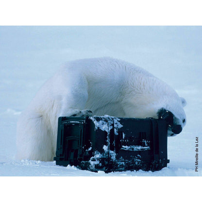 V2HF1A8008518C77D31D2B92F69CE983788R7359149P9