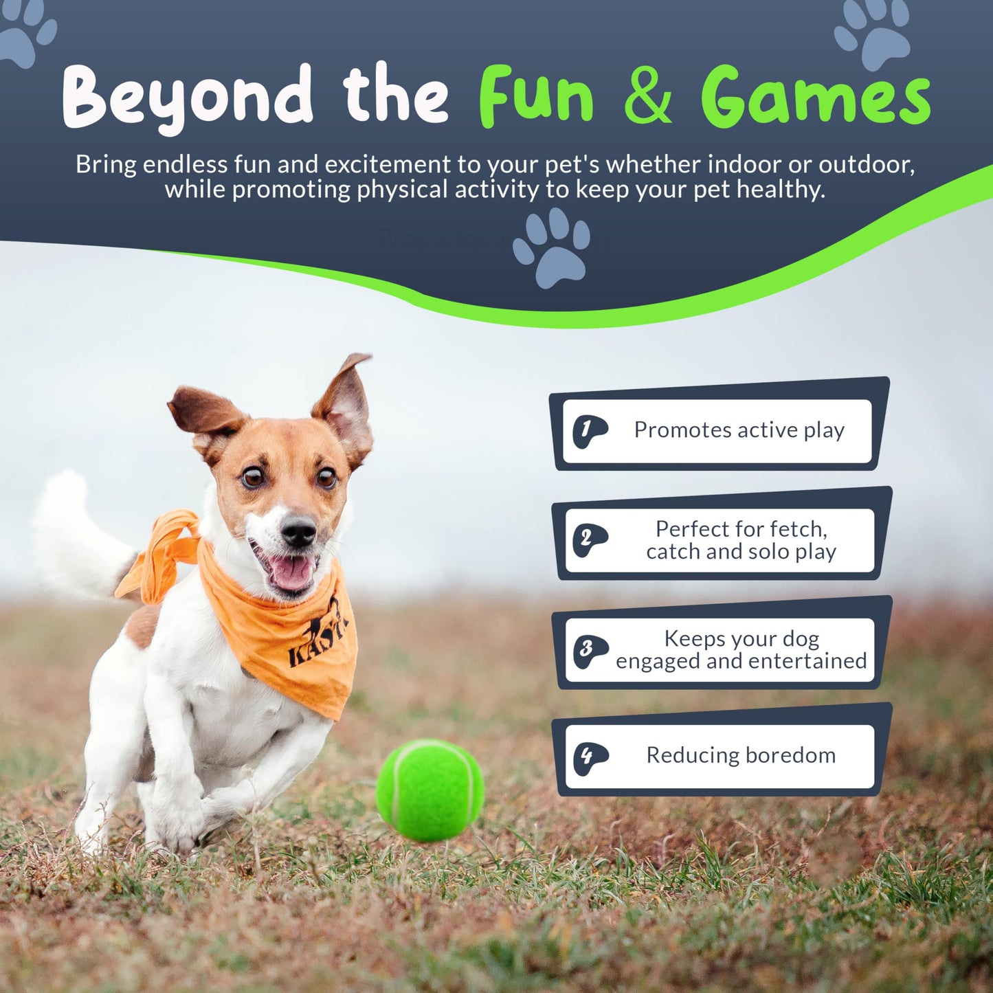 Quietschige Mini-Tennisbälle für kleine Hunde und Welpen – 3,8 cm – 6er-Pack – Hundespielzeug für kleine Hunde, positive Verstärkung beim Training, interaktives Apportieren, kleine Quietschbälle für Ballwerfer