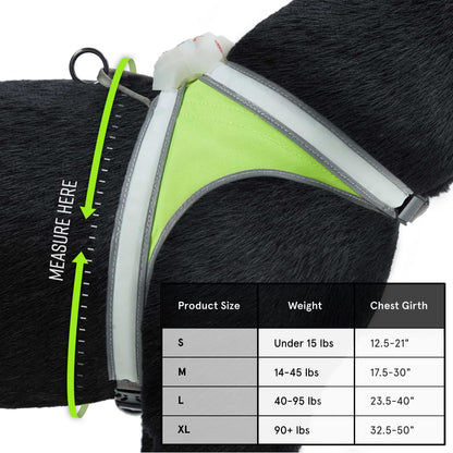 Noxgear LightHound - Revolutionary Illuminated and Reflective Harness for Dogs Including Multicolored LED Fiber Optics (USB Rechargeable, Adjustable, Lightweight, Rainproof) (Large)