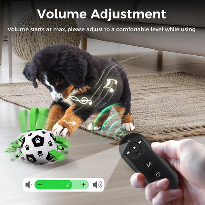 Interaktives Hundespielzeug von QDAN: Hüpfende und quietschende Hundespielzeuge, die Ihren Hund beschäftigen; Hundeball mit Musikaufnahmefunktion; beweglicher Hunde-Fußball mit Gurten; Fernbedienung; USB-aufladbar; Welpenspielzeug