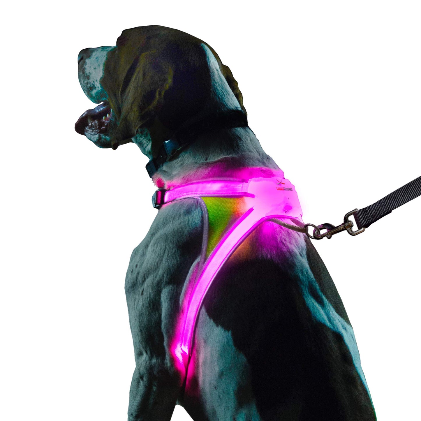 Noxgear LightHound - Revolutionary Illuminated and Reflective Harness for Dogs Including Multicolored LED Fiber Optics (USB Rechargeable, Adjustable, Lightweight, Rainproof) (Large)