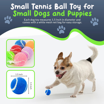 Quietschige Mini-Tennisbälle für kleine Hunde und Welpen – 3,8 cm – 6er-Pack – Hundespielzeug für kleine Hunde, positive Verstärkung beim Training, interaktives Apportieren, kleine Quietschbälle für Ballwerfer